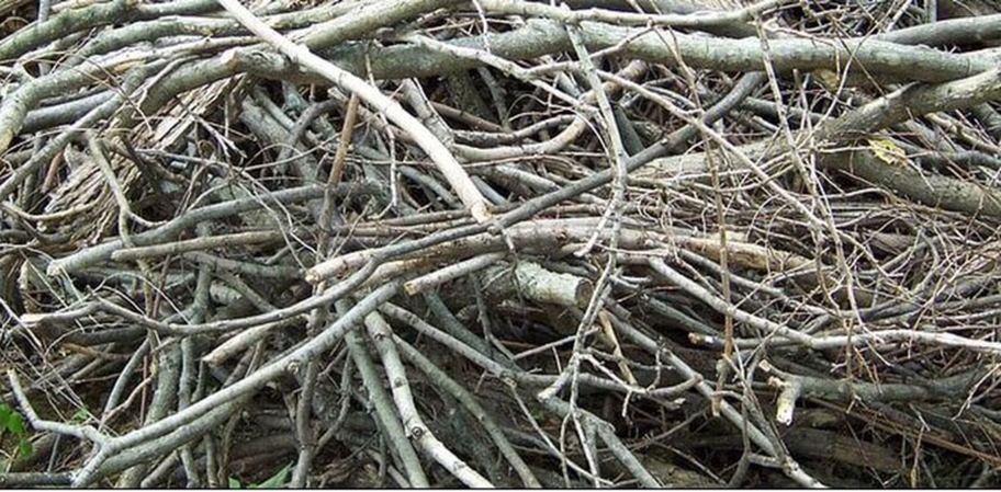 Pile de branches après l'élagage par l'Émondage Chambly