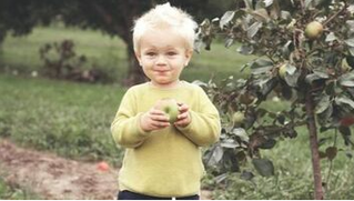 Un niño prueba una manzana recién cogida de un manzano en la propiedad de sus padres en Chambly.