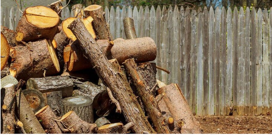 Tas de bois suite à l'abattage d'un arbre à Chambly.